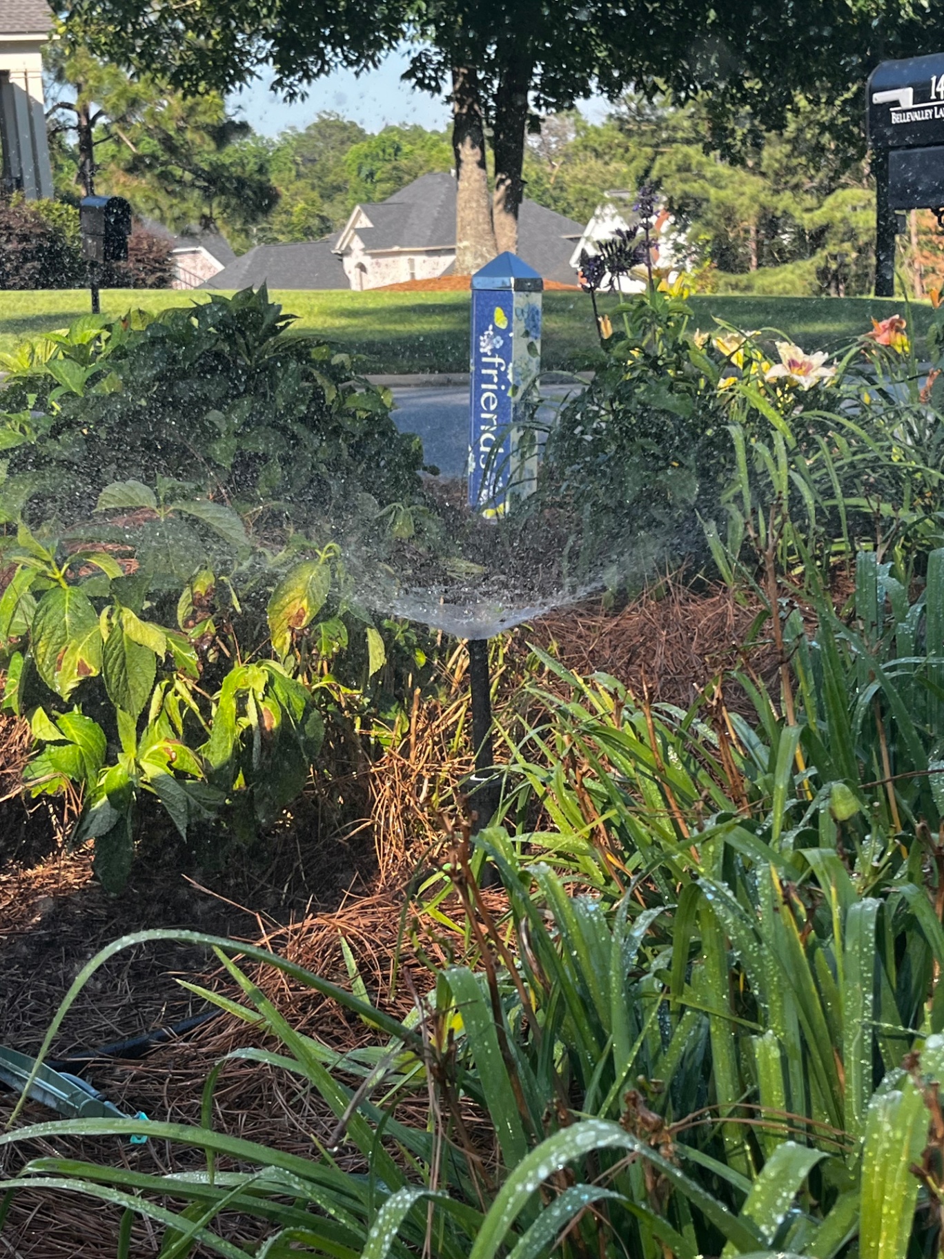 Sprinkler head replacement project