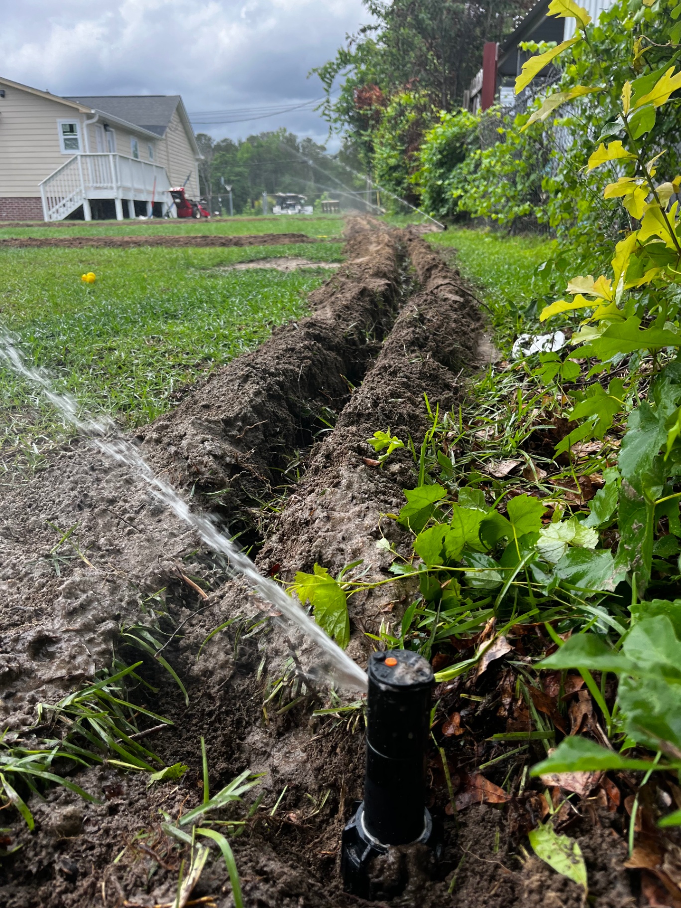 Sprinkler installation project