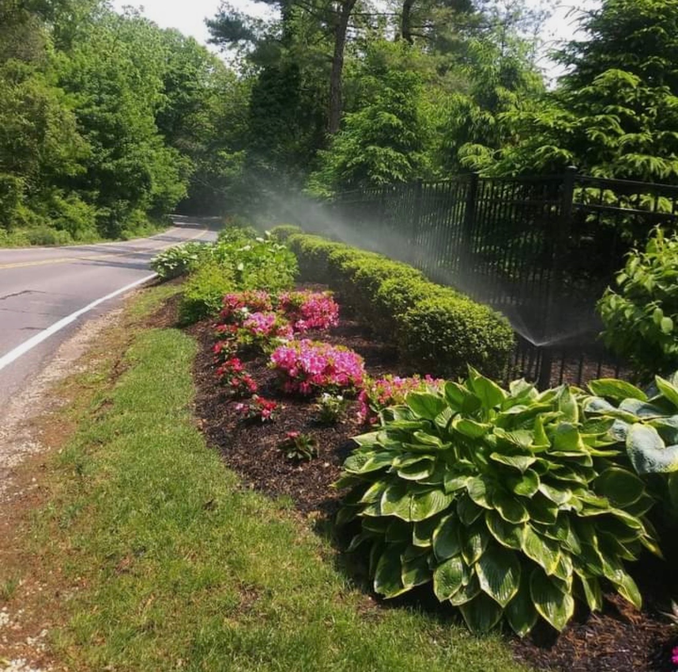 Sprinkler installation project